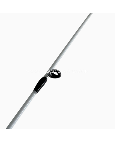 Canna Tubertini Akemi 8.6' 2-4