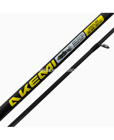 Canna Tubertini Akemi 8.6' 2-4