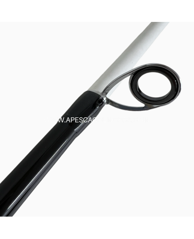 Canna Tubertini Akemi 8.6' 2-4