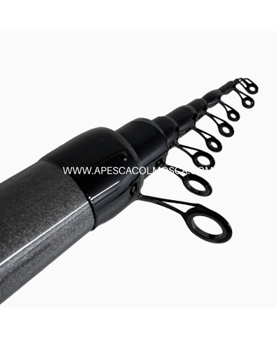 Canna Tubertini Level Vision