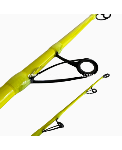 Canna Tubertini Crossover 2