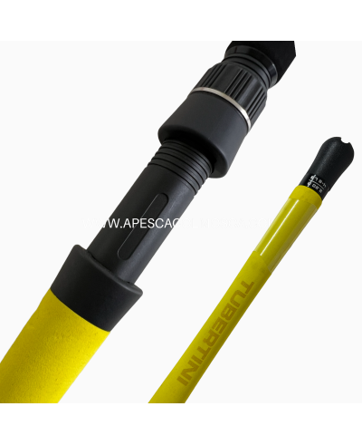 Canna Tubertini Crossover 2