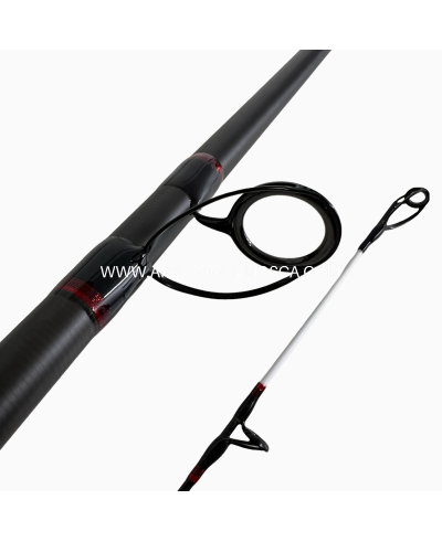 Canna Italcanna Terranova