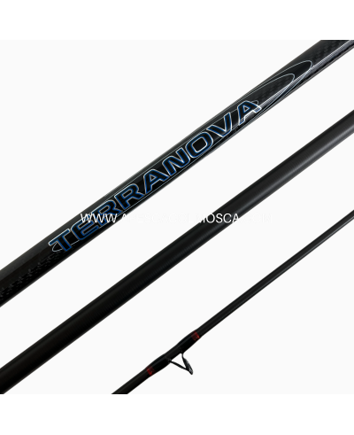 Canna Italcanna Terranova