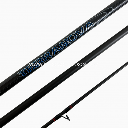 Canna Italcanna Terranova