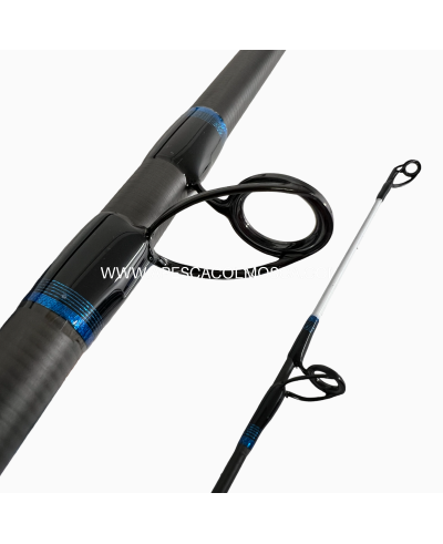 Canna Italcanna Terranova