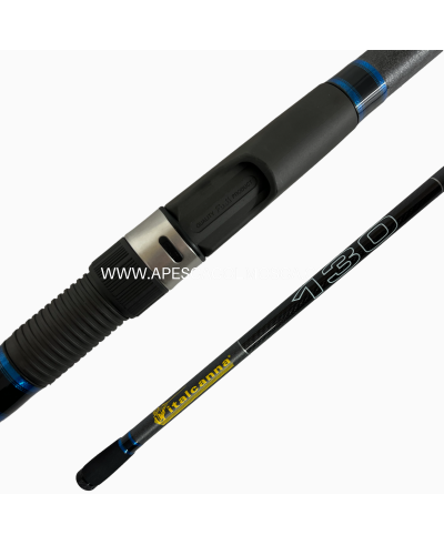 Canna Italcanna Terranova