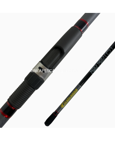 Canna Italcanna Terranova