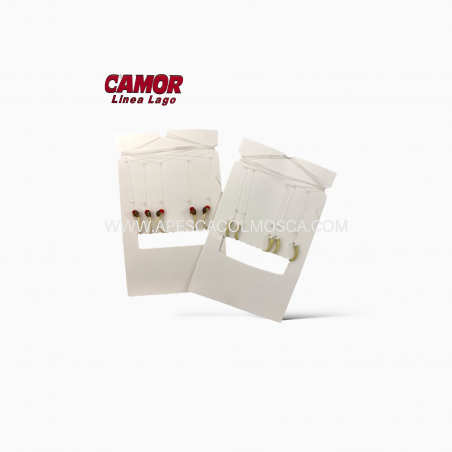 Camor Amettiera Agone