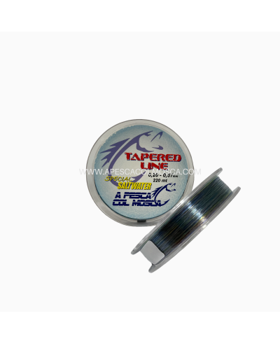 A pesca col Mosca conico - 220 MT