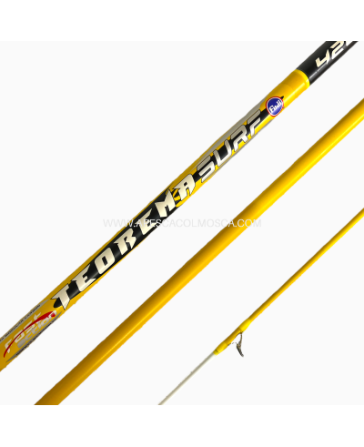 Canna Olympus Teorema Surf