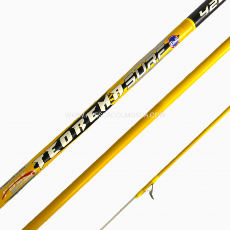 Canna Olympus Teorema Surf