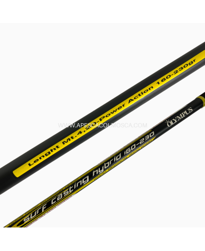 Canna Olympus Teorema Surf