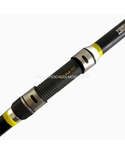 Canna Olympus Teorema Surf