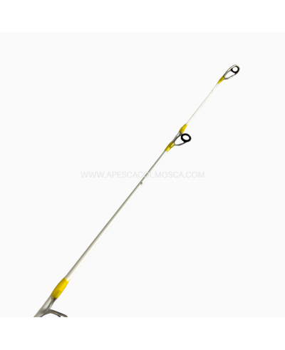 Canna Olympus Teorema Surf