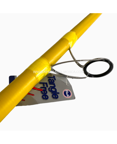 Canna Olympus Teorema Surf