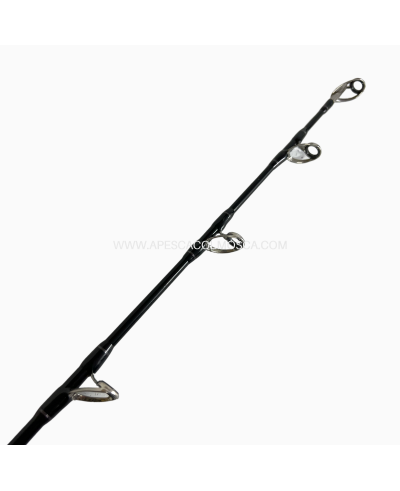 Canna Sunset Baroudeur Tuna Control