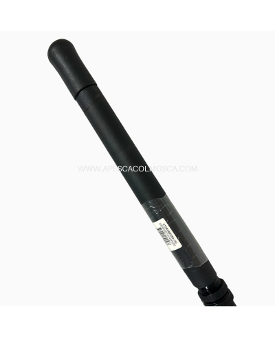 Canna Sunset Baroudeur Tuna Trainer 5'9 - 50LBS