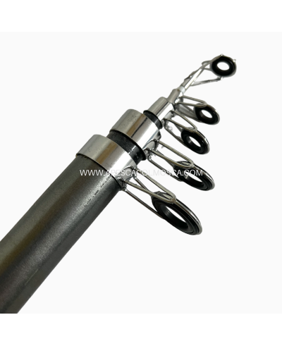 Canna Sert Fish Instinct FW20 Telepike 3504