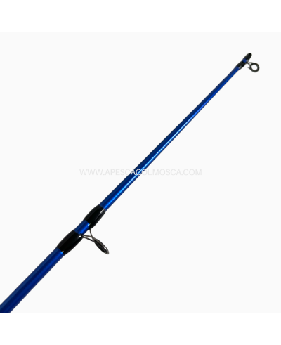 Canna Sunset Sunpulse SW20 2703