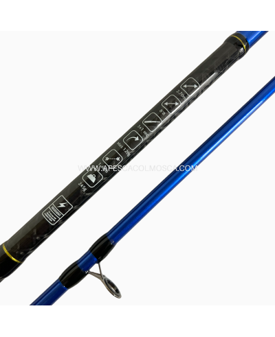 Canna Sunset Sunpulse SW20 2703