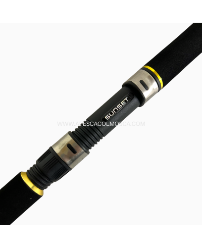 Canna Sunset Sunpulse SW20 2703