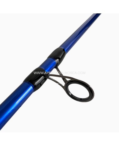 Canna Sunset Sunpulse SW20 2703