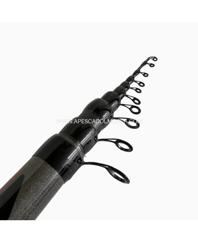 Canna Tubertini Level Vision Power