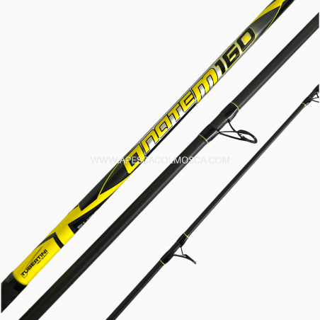 Canna Tubertini Anatem