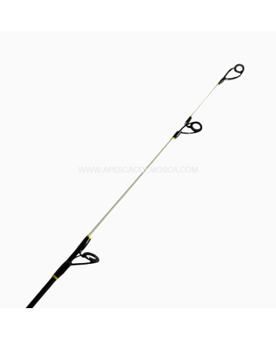 Canna Tubertini Anatem