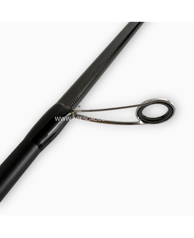 Canna Favorite White Bird