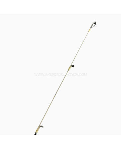 Canna Favorite White Bird