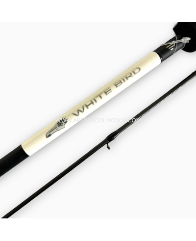 Canna Favorite White Bird