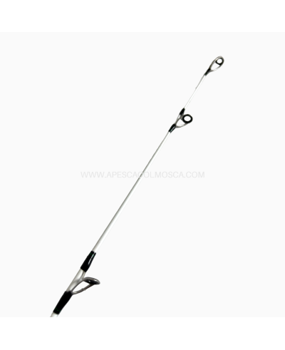 Canna Daiwa Tournament Evo Surf 100Gr - 4.50MT