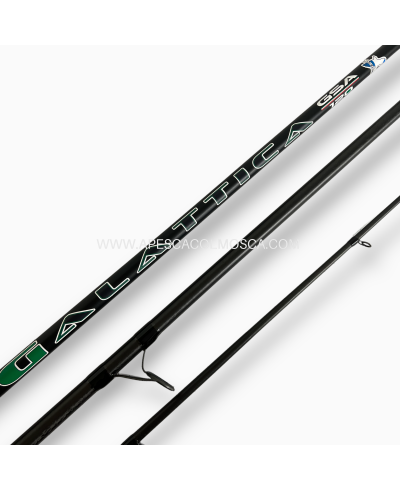 Canna Artico Galattica GSA 120Gr - 4.65MT