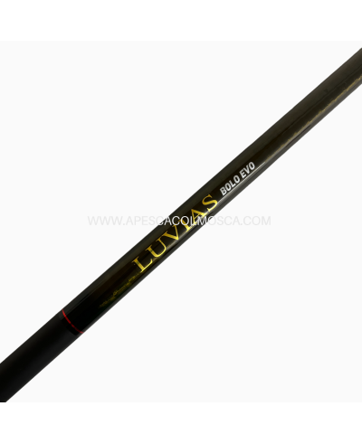 Canna Daiwa Luvias