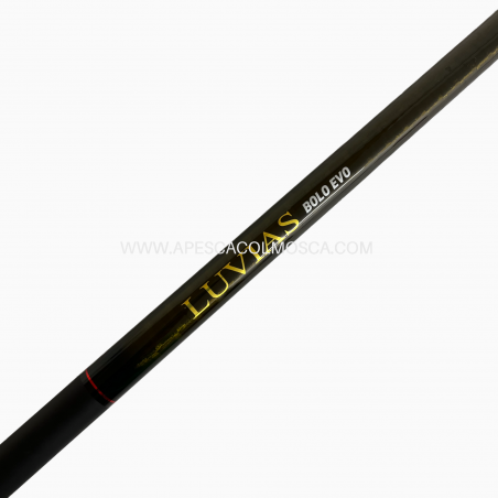 Canna Daiwa Luvias