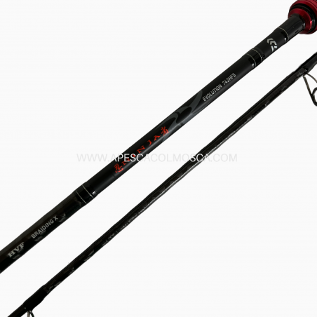 Canna Daiwa Ninja Evo Spinning 742HFS