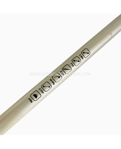 Canna Sunset Corsica ZXR