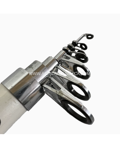 Canna Sunset Corsica ZXR