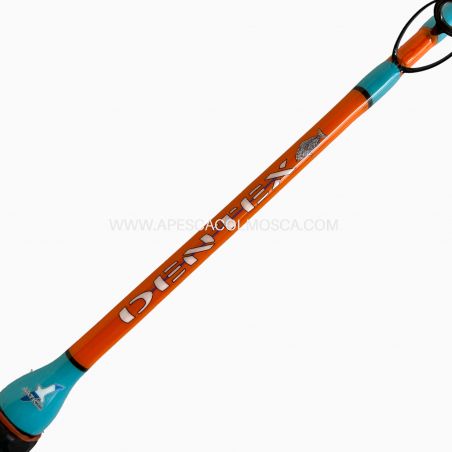 Canna Artico Dentex 8LB - 2.05 MT