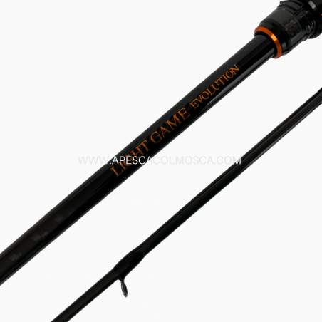 Canna Daiwa Light Game Evolution