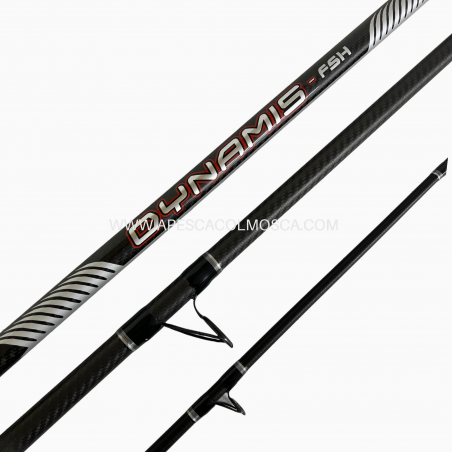 Canna Italcanna Dynamis