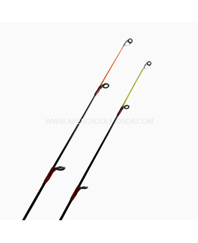 Canna italcanna Galatea