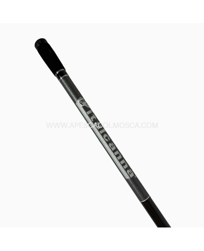 Canna italcanna Galatea