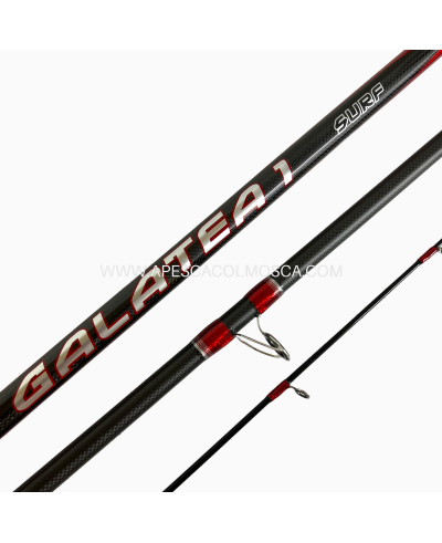 Canna italcanna Galatea