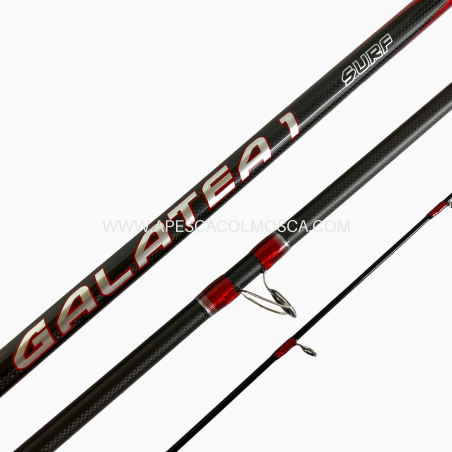 Canna italcanna Galatea