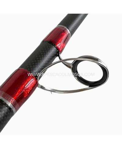 Canna italcanna Galatea