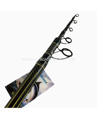 Canna Italcanna Futura 250