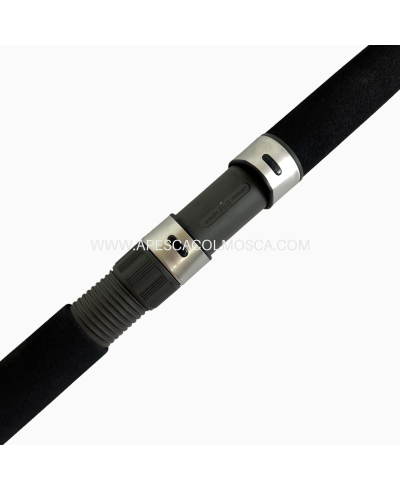 Canna Italcanna Futura 250